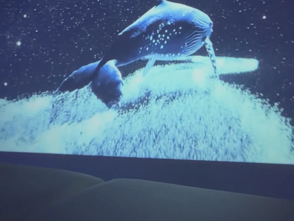 個室に投影されるオリジナルの星空映像